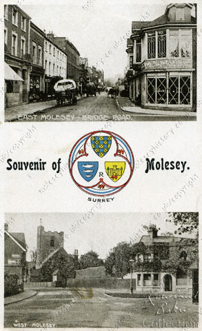 Souvenir of Molesey postcard