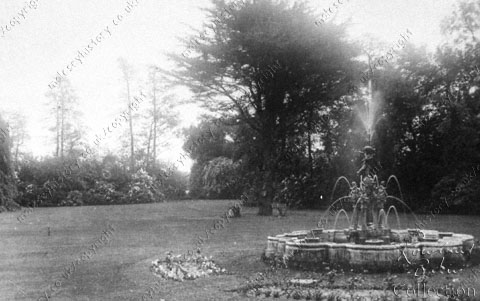East Molesey Lodge - garden