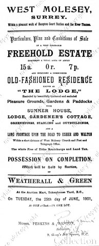 The Lodge sale catalogue