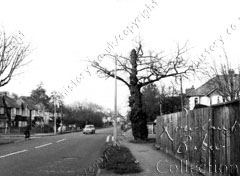 Esher Road