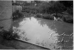 Molesham Close