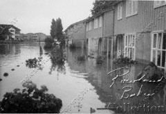 Molesham Way