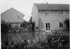 Molesham Close