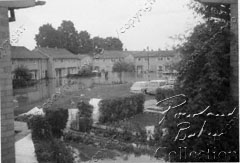 Molesham Close