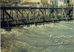 Neilson's bridge