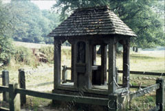 Dunsfold - holy well